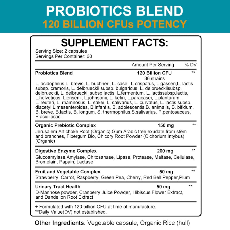 Probiotics 120 Billion CFU — Enzyme & Gut Support